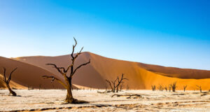 $14M Research Grant Seeks to Transform Western Africa Rice Crops to Withstand the Climate Crisis Namibia Desert
