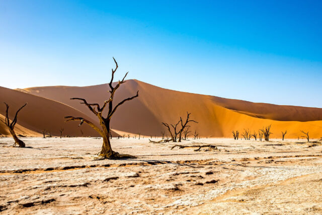 Namibia Desert