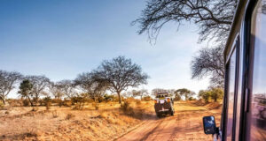 Guide to Renting a Car in Kenya Kenya Car Travel