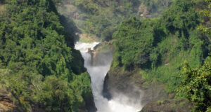 Is Africa Where the Next Climate Crisis Showdown Will Happen? Murchison Falls Game Park